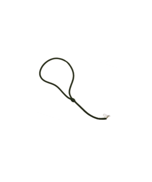Lanyard